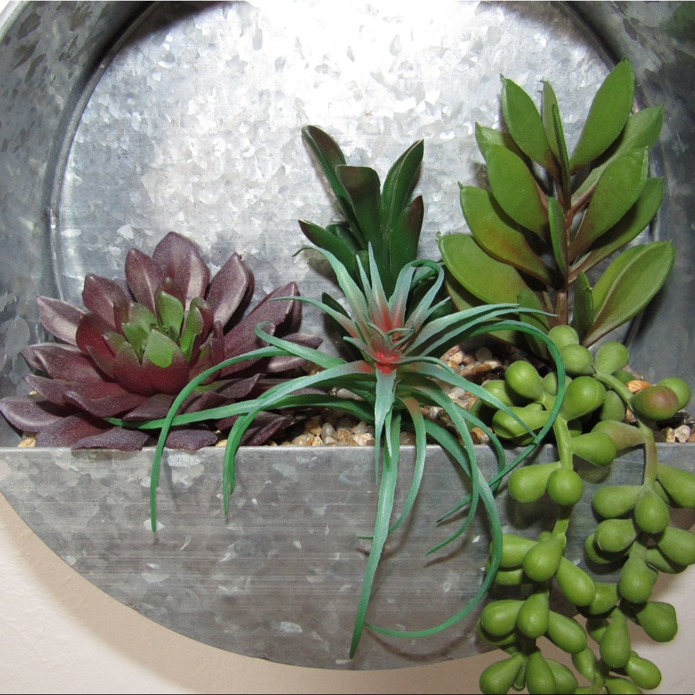 Galvanized Hanging Succulent Garden Planter - Picture 7 of 8